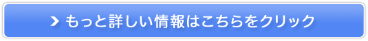 RXVbvC`F(LICHA)̔TCg